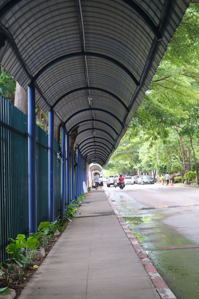 บรรยากาศ GoGo Bike 3